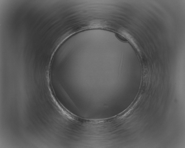 X0000076030810200610061416