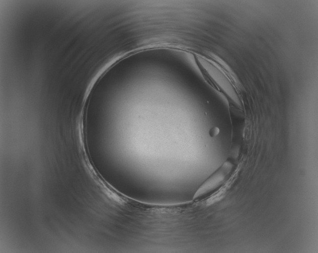 X0000076030812200610061416