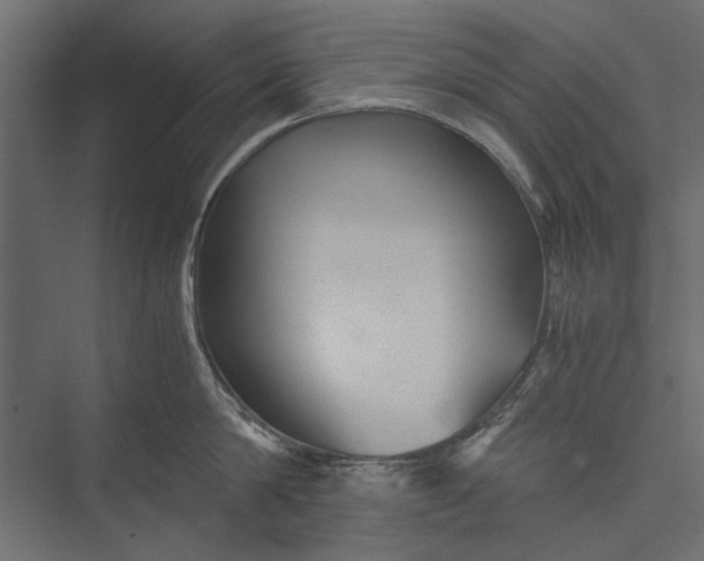 X0000076030814200610061416