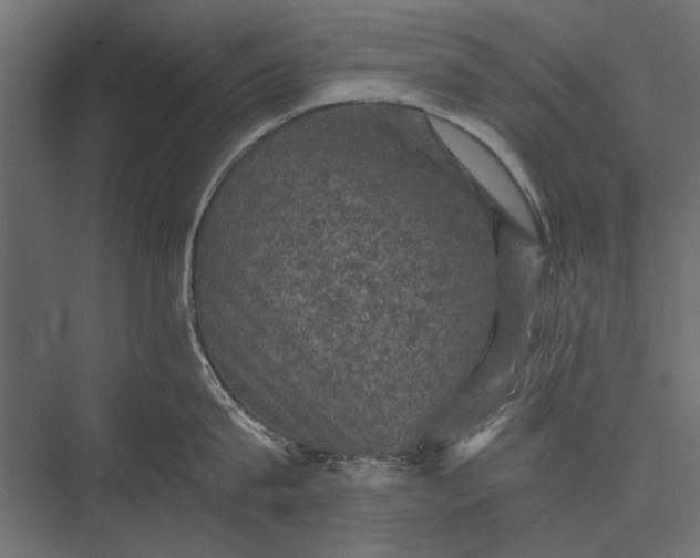 X0000076030815200610061416