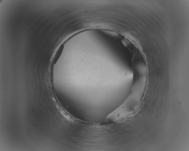 X0000076030816200610061416