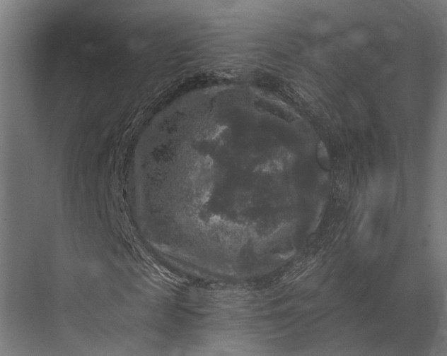 X0000076030817200610061415