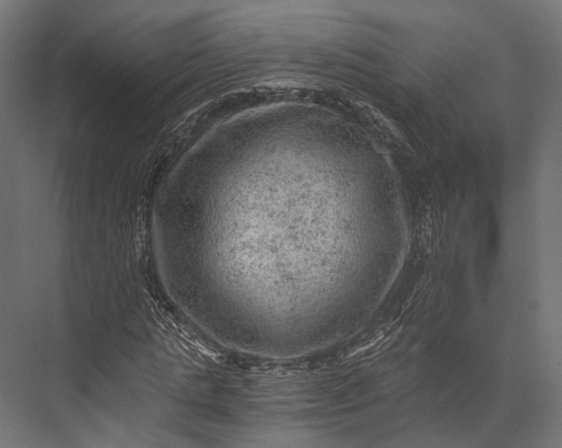 X0000076030821200610061415