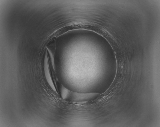 X0000076030822200610061416