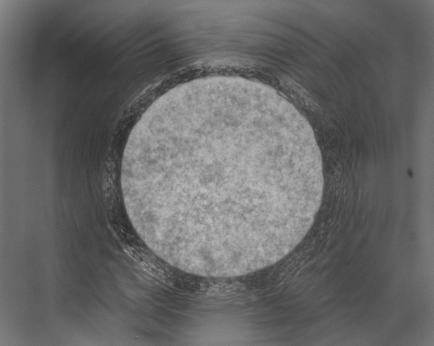 X0000076030824200610061416