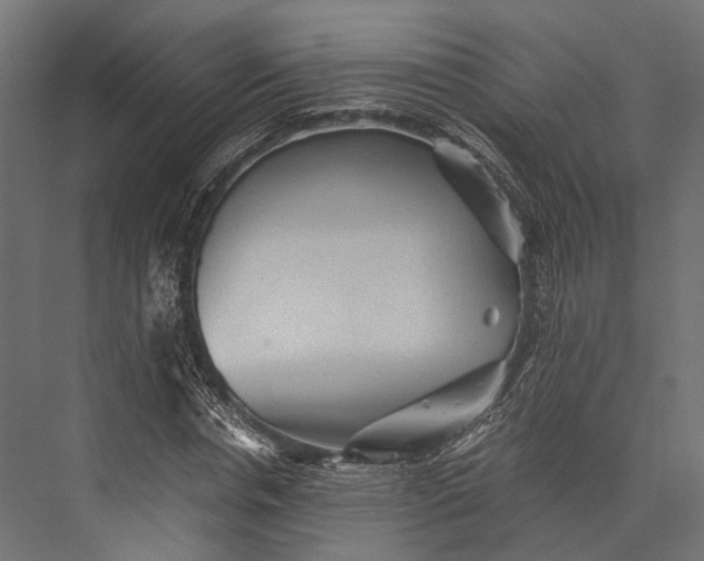 X0000076030826200610061416