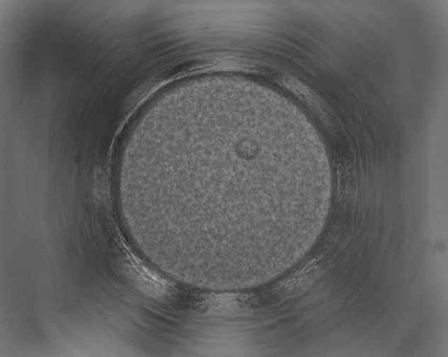 X0000076030828200610061416