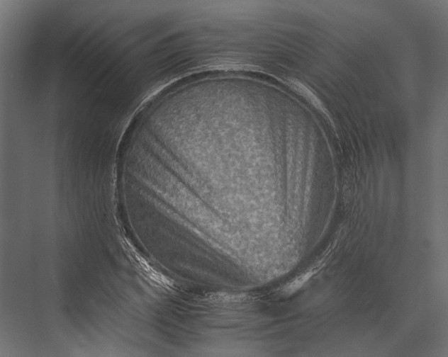 X0000076030831200610061416