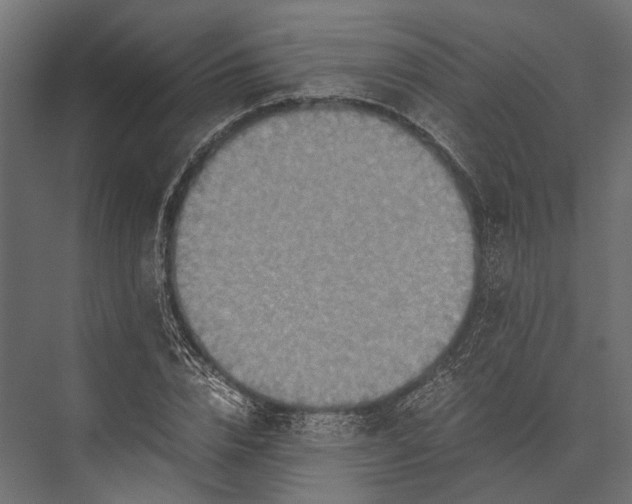 X0000076030832200610061416