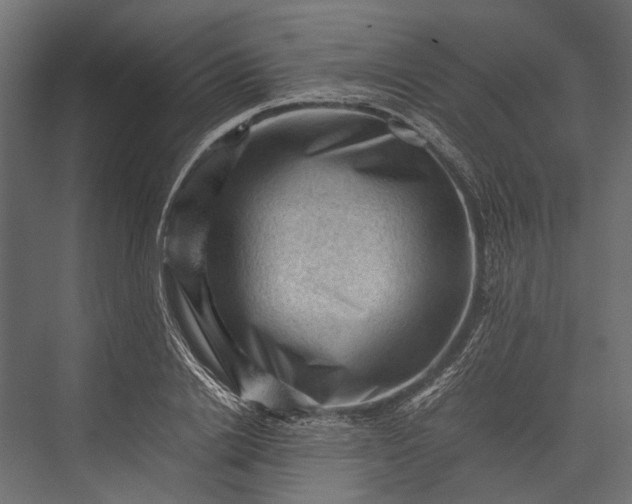 X0000076030838200610061416