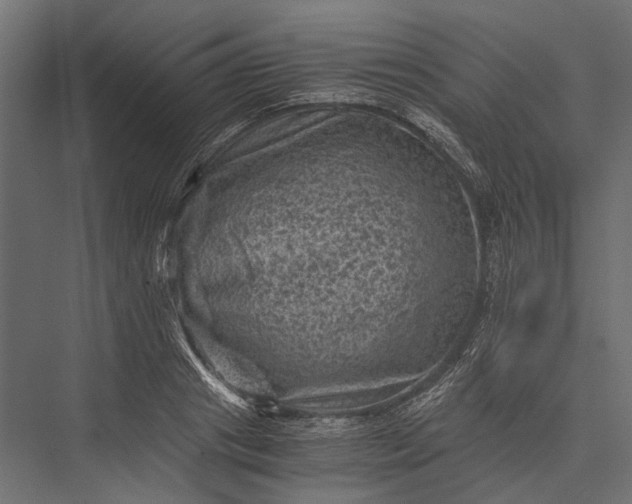 X0000076030841200610061416