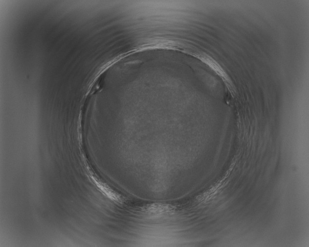 X0000076030842200610061416