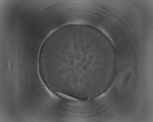 X0000076030845200610061416