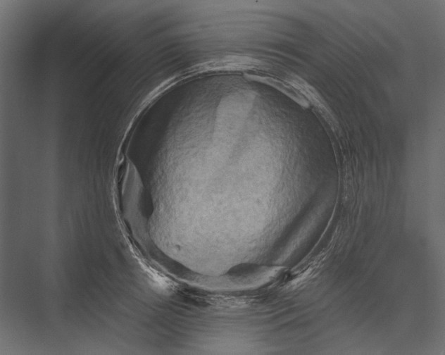 X0000076030850200610061416