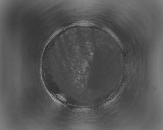 X0000076030853200610061416