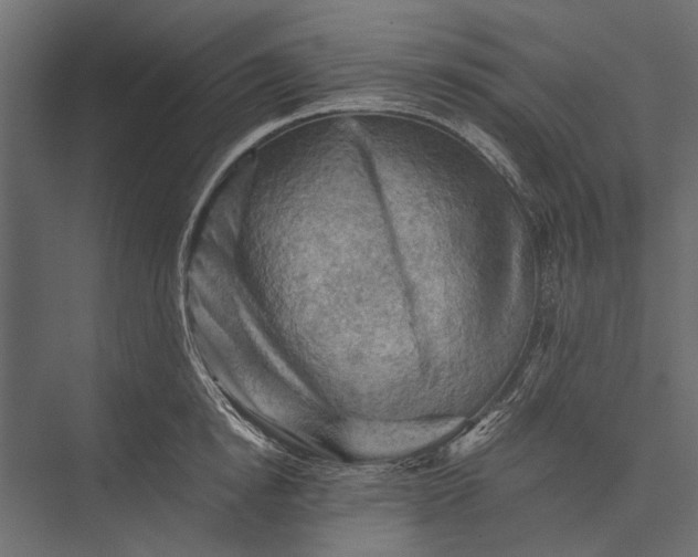 X0000076030854200610061416