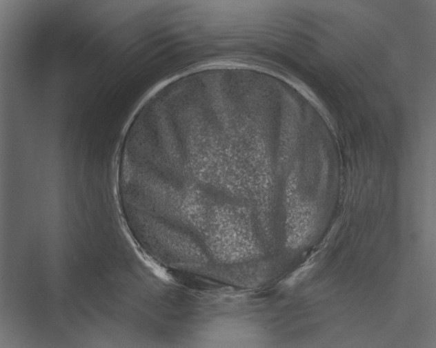 X0000076030862200610061416