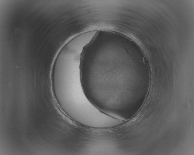 X0000076030864200610061416