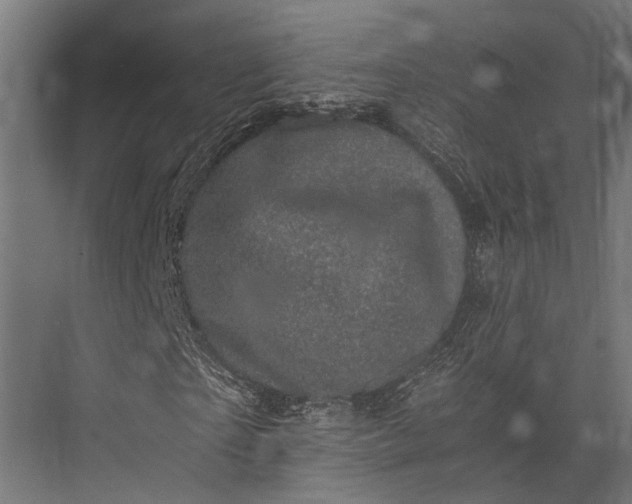 X0000076030865200610061415