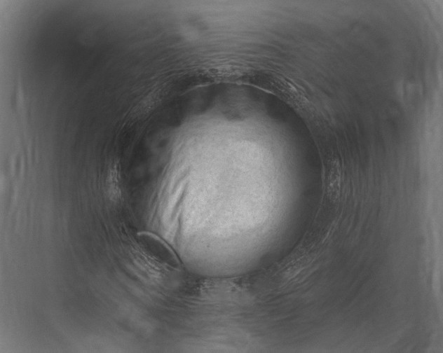 X0000076030866200610061415