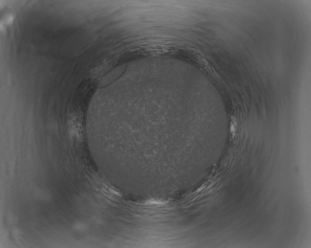 X0000076030867200610061415