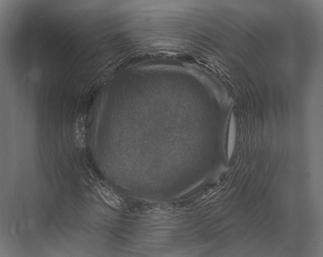 X0000076030868200610061415