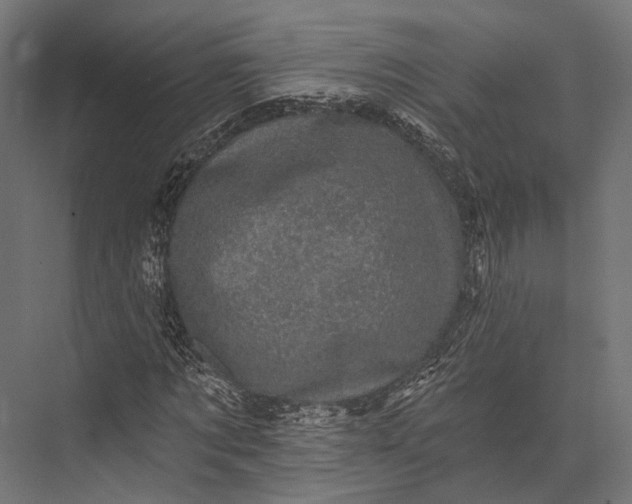 X0000076030869200610061415