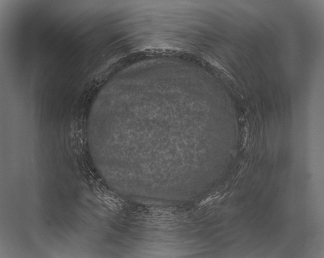 X0000076030870200610061415