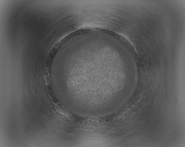 X0000076030871200610061415