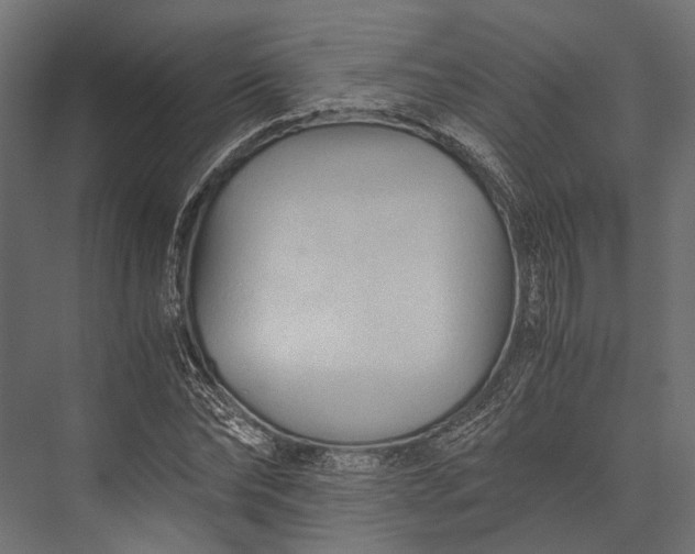 X0000076030878200610061415