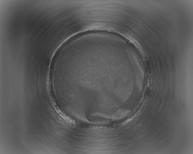 X0000076030880200610061415