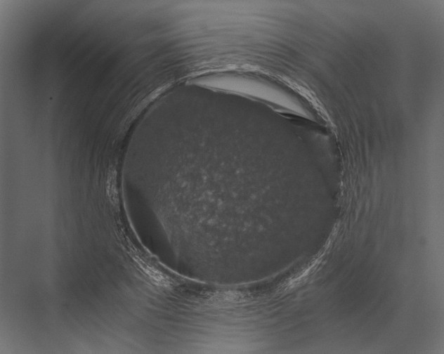 X0000076030881200610061415