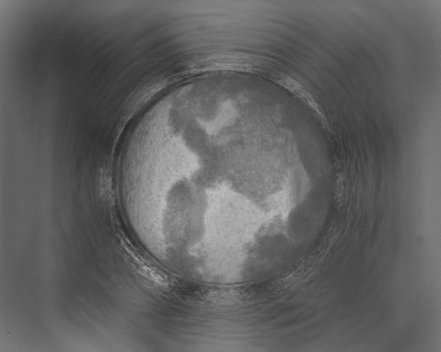 X0000076030882200610061415