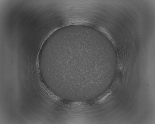 X0000076030883200610061415