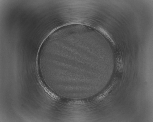 X0000076030884200610061415