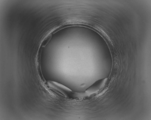 X0000076030885200610061415