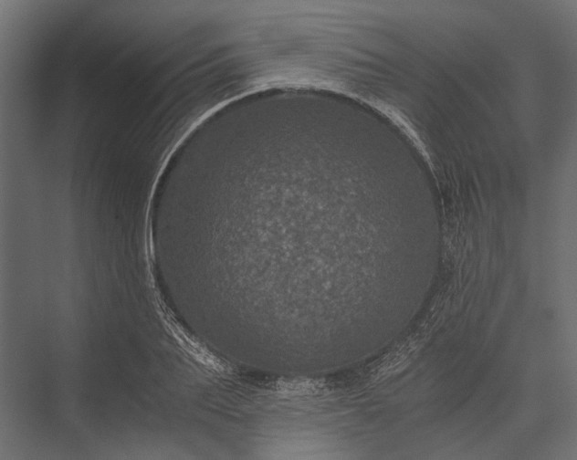 X0000076030887200610061415