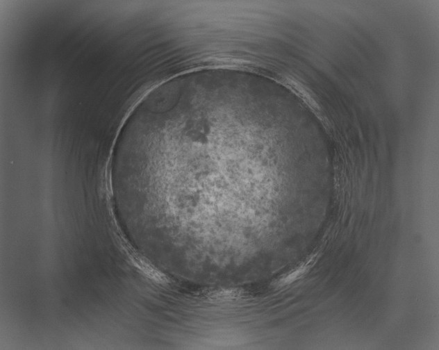 X0000076030891200610061415