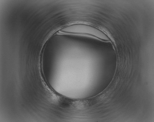 X0000076030898200610061415