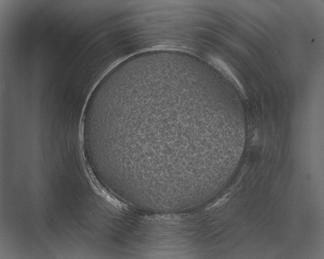 X0000076030900200610061415