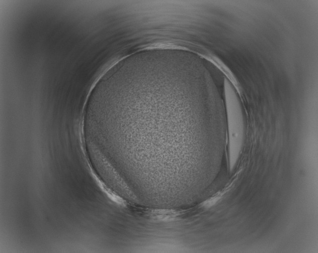 X0000076030909200610061415