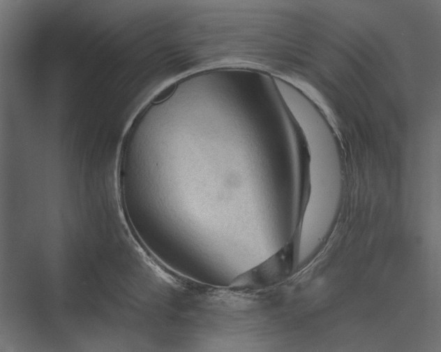 X0000076030910200610061415