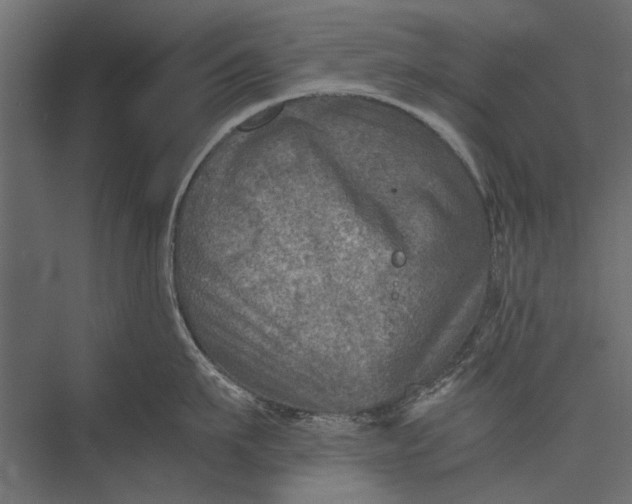 X0000076030911200610061415