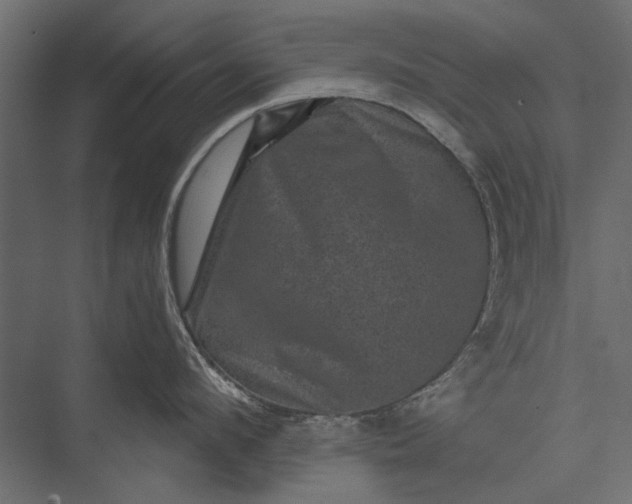 X0000076030912200610061415