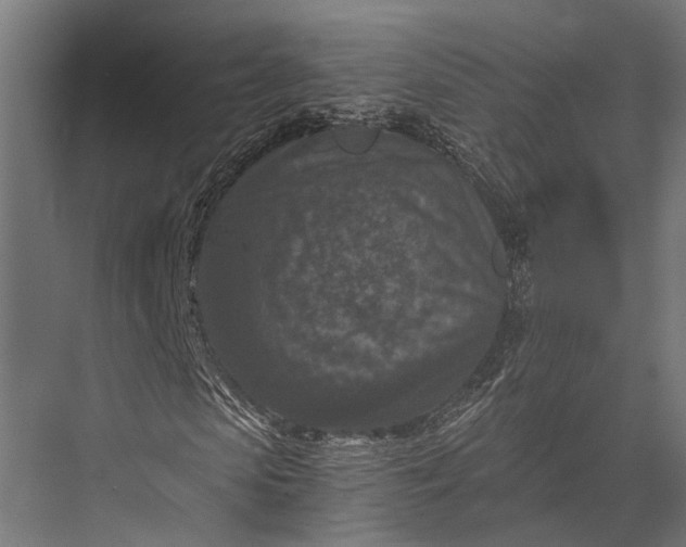 X0000076030913200610061414