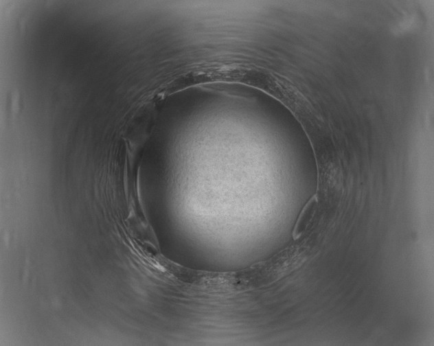 X0000076030914200610061414