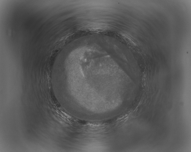 X0000076030917200610061414