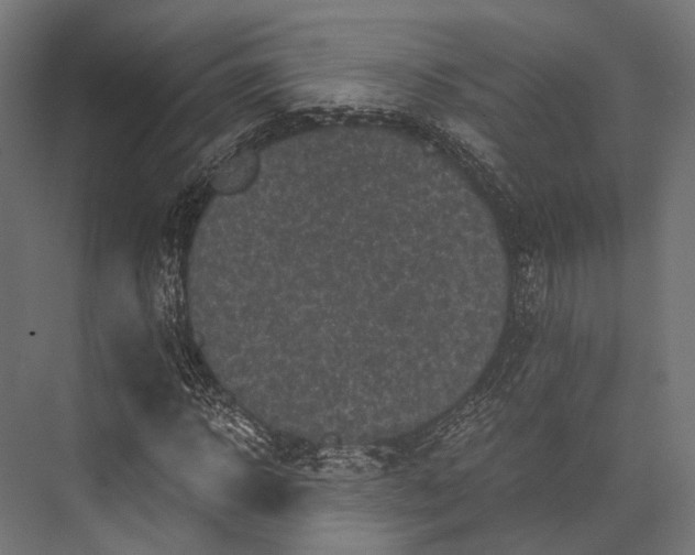 X0000076030918200610061414