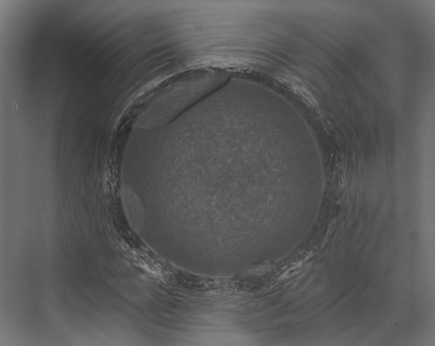 X0000076030920200610061414