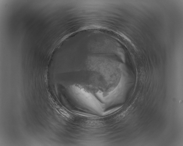 X0000076030921200610061414